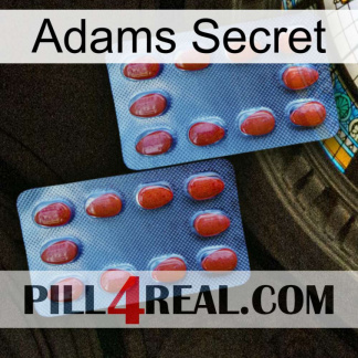 Adams Secret 05